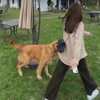 珠玉在侧