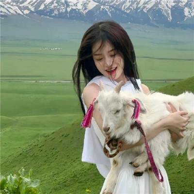 猫胆虫威大电影